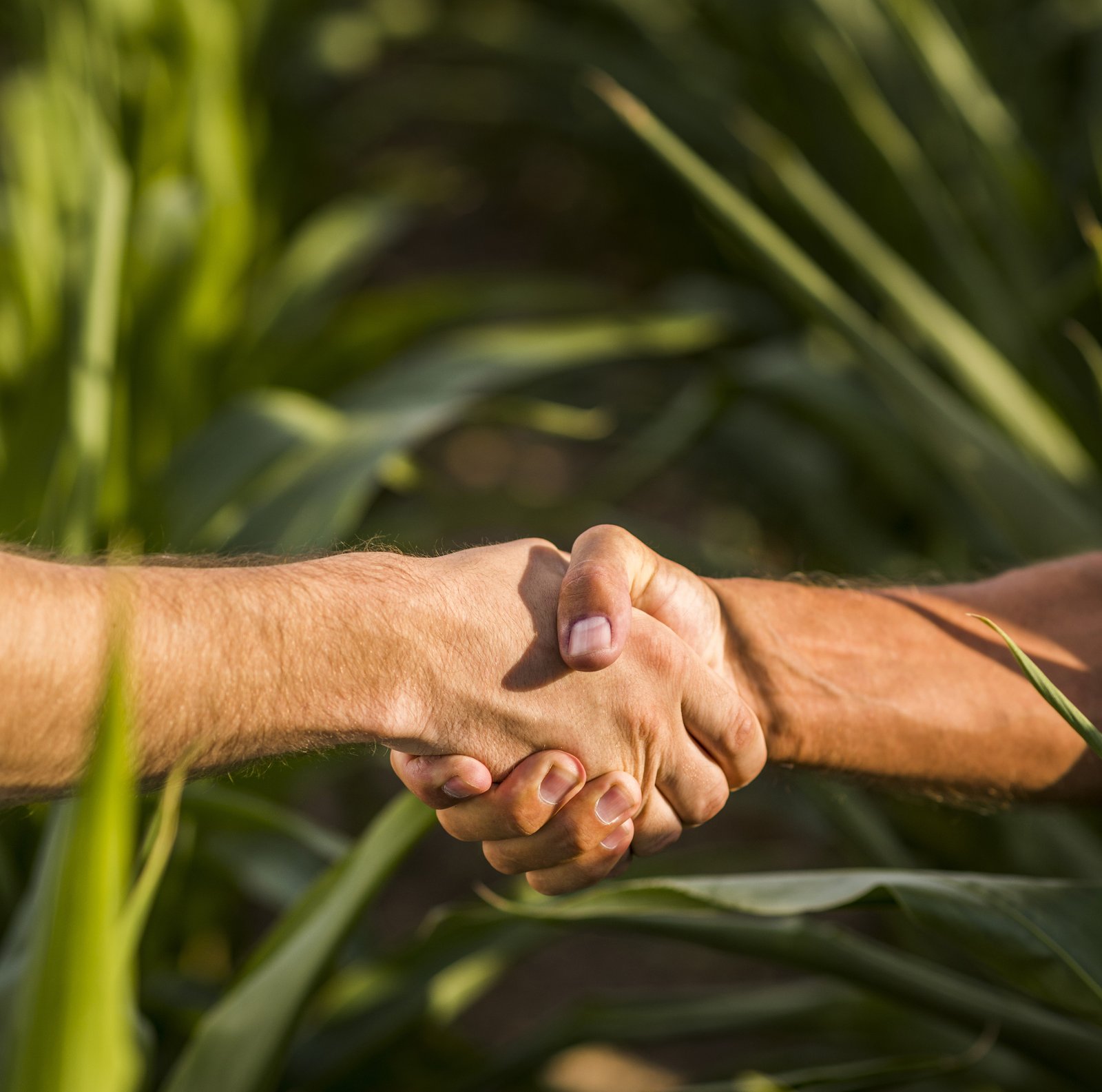 Partnership and Collaboration