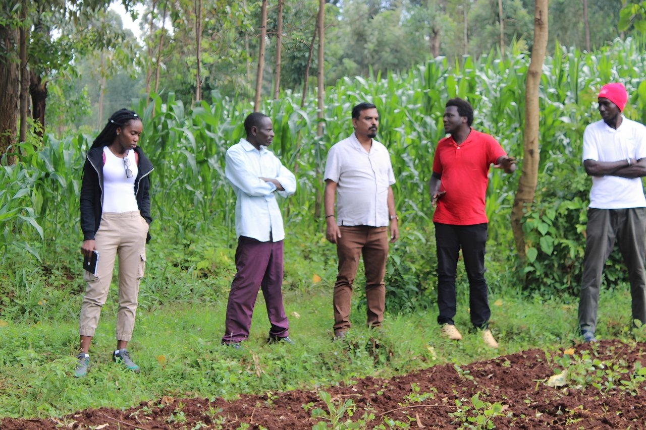 Indigenous seed varieties conservation